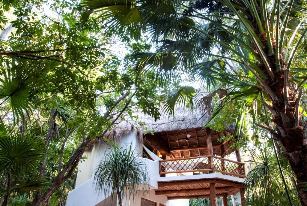 Hotel Las Palapas By Mahekal بلايا ديل كارمن الغرفة الصورة